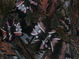 CMD200-1  Flag and red leaves WTP film