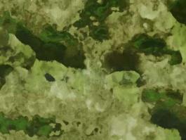 CMD565-1 Camouflage Hydro graphics Film