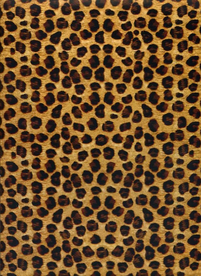 AND-1274 Yellow leopard hydro dipping film