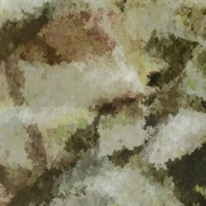 Faded MultiCam Hydrographic Film