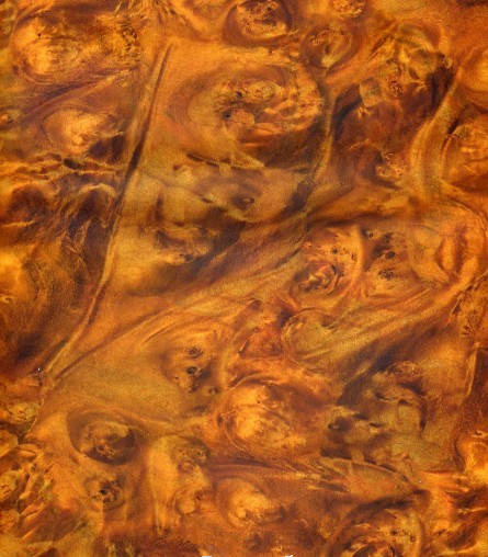 Golden-Camphor-Burl-Wood-Hydrographic-Film Golden Camphor Burl Wood Hydrographic Film