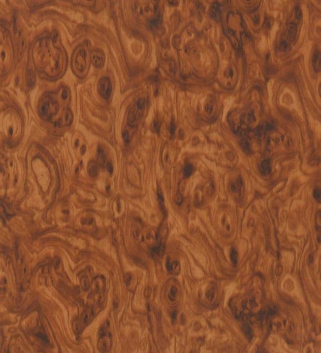 Golden-Mosaic-Burl-Wood-Hydrographic-Film Golden Mosaic Burl Wood Hydrographic Film